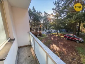 Prodej bytu 1+1, Brno, Foerstrova, 42 m2