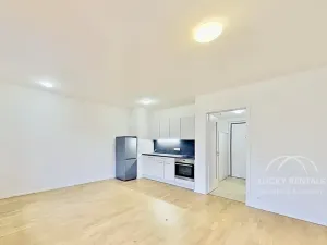 Pronájem bytu 1+kk, Praha - Hlubočepy, Wassermannova, 34 m2