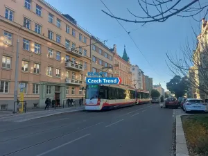 Pronájem pokoje, Olomouc, Masarykova třída, 24 m2