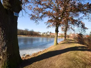 Pronájem bytu 3+1, Jince, Čsl. dělostřelců, 71 m2