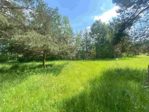 Dražba louky, Býkov-Láryšov, 2300 m2