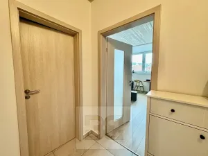 Pronájem bytu 1+kk, Brno, 38 m2