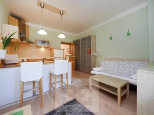 Prodej bytu 1+kk, Praha - Nusle, U družstva Ideál, 27 m2