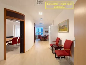 Pronájem kanceláře, Brno, Příkop, 226 m2