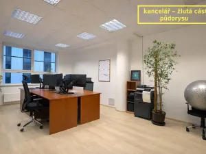 Pronájem kanceláře, Brno, Příkop, 226 m2
