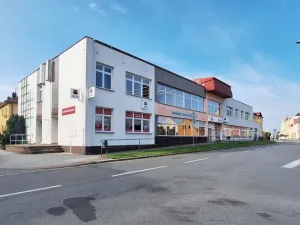 Pronájem bytu 1+kk, Týniště nad Orlicí, 17. listopadu, 45 m2