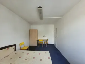 Pronájem pokoje, Brno, Vídeňská, 15 m2