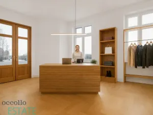 Prodej atypického bytu, Plzeň, Křížkova, 190 m2