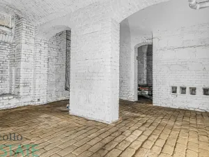 Prodej atypického bytu, Plzeň, Křížkova, 190 m2