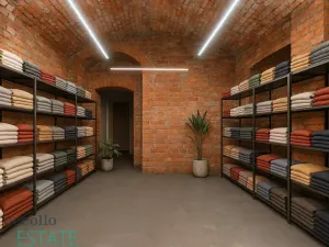 Prodej atypického bytu, Plzeň, Křížkova, 228 m2