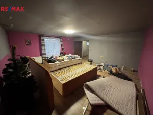 Prodej rodinného domu, Kojetín - Kojetín I-Město, Blanská, 240 m2