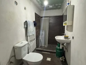 Prodej rodinného domu, Kojetín - Kojetín I-Město, Blanská, 240 m2