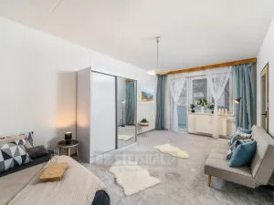 Prodej bytu 1+1, České Budějovice - České Budějovice 2, J. Bendy, 39 m2