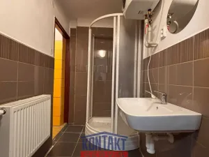 Pronájem obchodního prostoru, Týn nad Vltavou, Horní Brašov, 200 m2