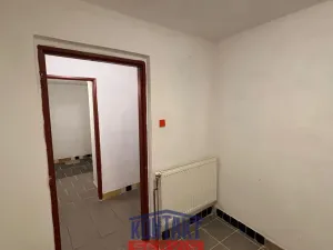 Pronájem obchodního prostoru, Týn nad Vltavou, Horní Brašov, 200 m2