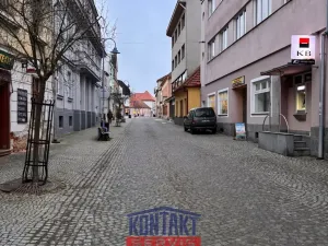 Pronájem obchodního prostoru, Týn nad Vltavou, Horní Brašov, 200 m2