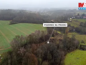 Prodej louky, Bílá - Hradčany, 6046 m2