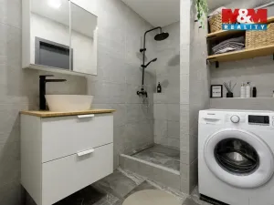 Prodej bytu 2+1, Ostrava - Moravská Ostrava, Ahepjukova, 57 m2