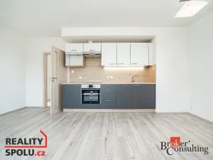 Pronájem bytu 1+kk, Heřmanova Huť - Vlkýš, U Pondu, 35 m2