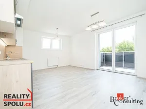 Pronájem bytu 1+kk, Heřmanova Huť - Vlkýš, U Pondu, 35 m2