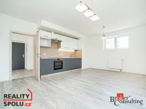 Pronájem bytu 1+kk, Heřmanova Huť - Vlkýš, U Pondu, 35 m2