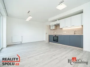 Pronájem bytu 1+kk, Heřmanova Huť - Vlkýš, U Pondu, 35 m2