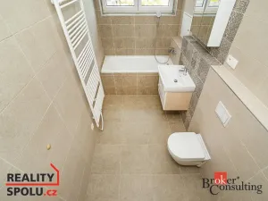 Pronájem bytu 1+kk, Heřmanova Huť - Vlkýš, U Pondu, 35 m2