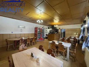 Prodej ubytování, Frýdlant nad Ostravicí - Nová Ves, 400 m2