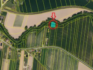 Prodej lesa, Dolní Životice, 776 m2