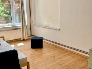 Pronájem bytu 1+1, Brno - Žabovřesky, 45 m2