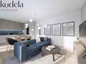 Prodej rodinného domu, Olomouc, Jilemnického, 1102 m2