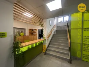 Pronájem kanceláře, Ostrava, Kounicova, 17 m2