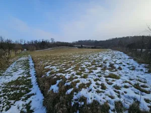 Prodej zahrady, Mikulov, Nová, 2627 m2