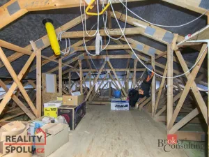 Prodej rodinného domu, Loket, Nad Hájovnou, 196 m2