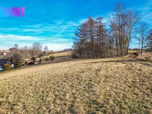 Prodej pozemku pro bydlení, Těrlicko, 4357 m2