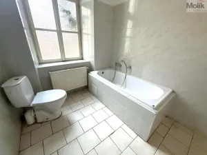 Prodej bytu 5+1, Teplice, Jungmannova, 164 m2