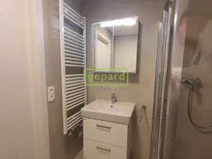 Pronájem bytu 1+kk, Praha, Kolbenova, 35 m2