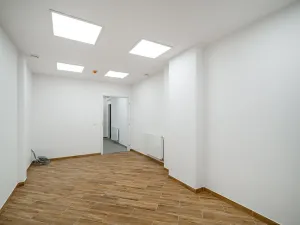 Prodej restaurace, Praha - Žižkov, Olšanská, 352 m2