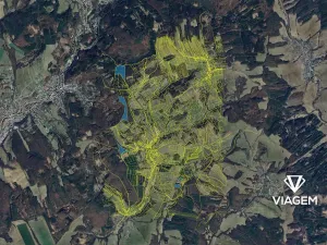 Prodej podílu lesa, Luhačovice, 8222 m2