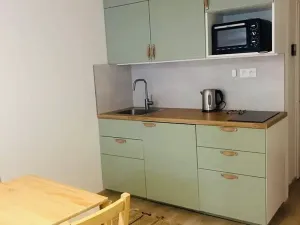 Pronájem bytu 1+kk, Praha - Vršovice, Kubánské náměstí, 25 m2