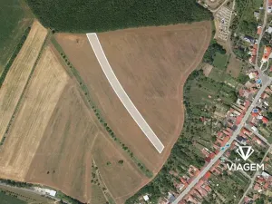 Prodej podílu pole, Lovčice, 4142 m2