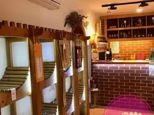 Pronájem obchodního prostoru, Olomouc, Karolíny Světlé, 55 m2