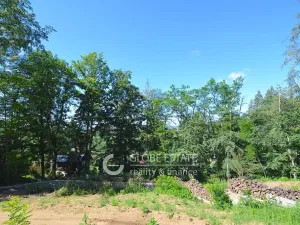 Prodej chaty, Řehenice, 20 m2