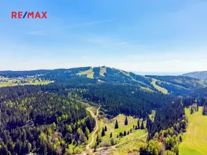 Prodej bytu 1+kk, Abertamy, Vítězná, 41 m2