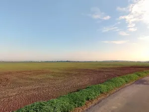 Prodej pole, Dolní Bezděkov, 7705 m2