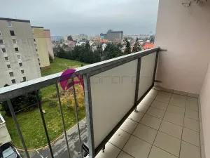 Pronájem bytu 3+1, Olomouc, Polská, 75 m2
