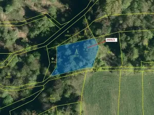 Dražba lesa, Zděchov, 1036 m2