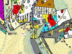 Dražba lesa, Vranová Lhota, 3122 m2