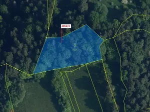 Dražba lesa, Český Dub, 2709 m2