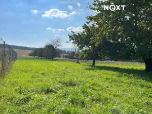 Prodej pozemku pro bydlení, Bařice-Velké Těšany, 962 m2